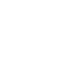 Orquídea